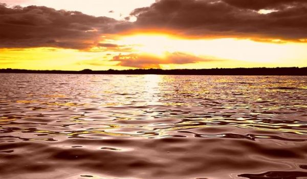 Sober Companion UK Services