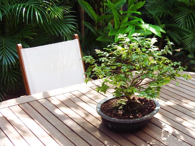 Costa Rica Treatment Centre
