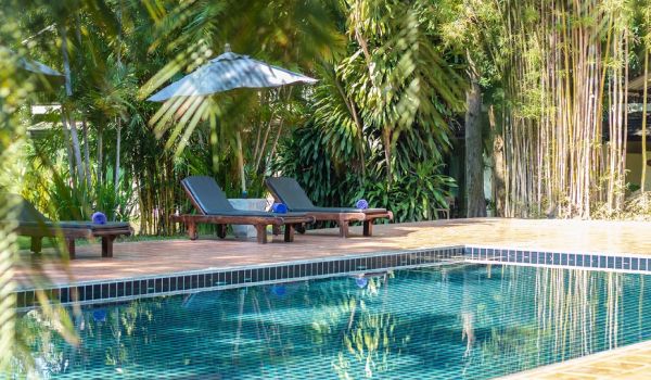 Treehouse Luxury Rehabilitation Thailand