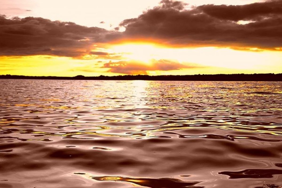 MDMA Ecstasy addiction