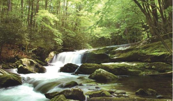 English Mountain Recovery